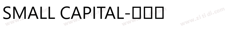 SMALL CAPITAL字体转换